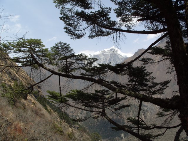 nepaltrekkingeverestregion201018.jpg