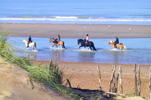 noordzee
