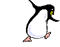 pinguin dans