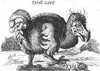 Schets van een Dodo door de 17e eeuwse Nederlandse schilder Savery
