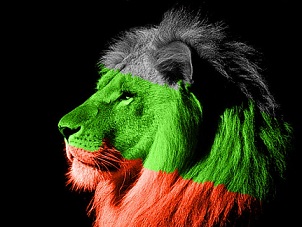 lion colored in white green and red