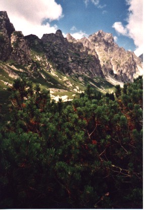 Hoge Tatra
