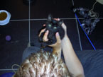 Foto9