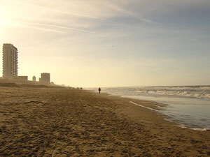 Strand van Zandvoort