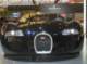 bucatti2007_small.jpg