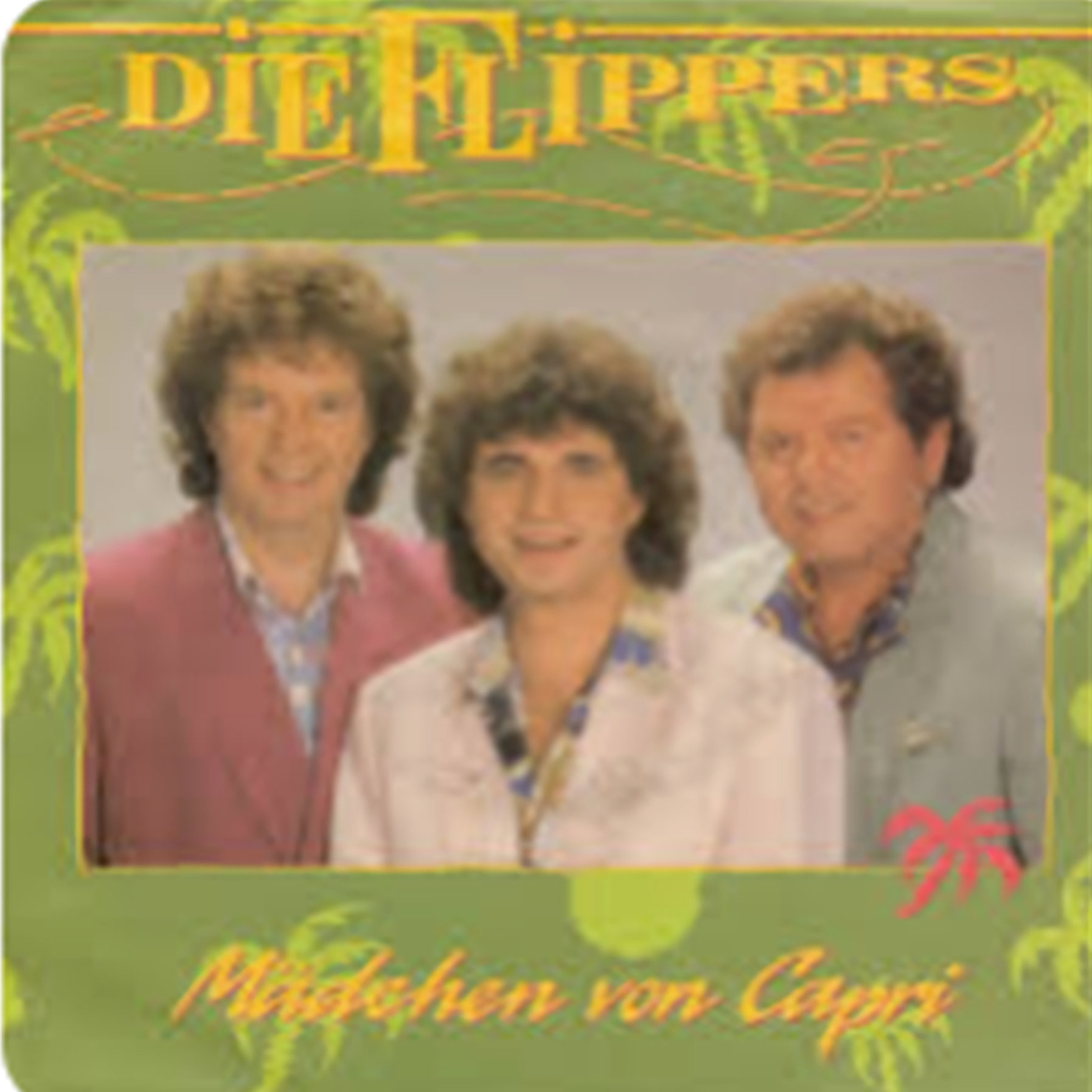 Die Flippers   M dchen von Capri