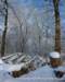 winter_04021211_small.jpg