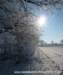 winter_04021213_small.jpg