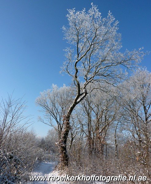 winter_04021220.jpg