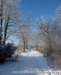 winter_0402125_small.jpg