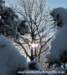 winter_0402126_small.jpg