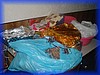 DSC05484.JPG