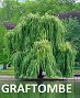 Graftombe.nl