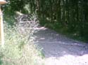 pic081